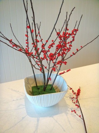 berry1