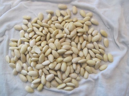 AlmondCake6 AlmondCake6