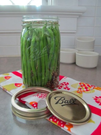PickledBeans2 PickledBeans2