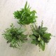 Herbbouquet1