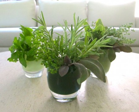 Herbbouquets4