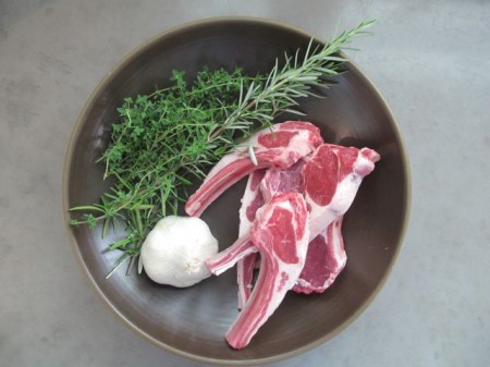 Lamb1