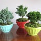 Latte Bowls Main Latte Bowls Main