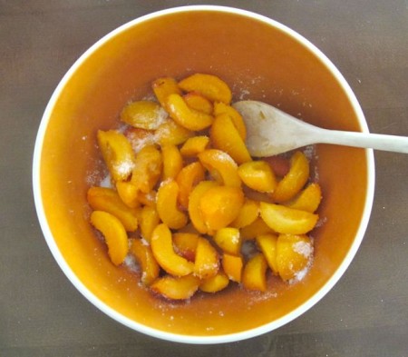 Apricot Tart 2