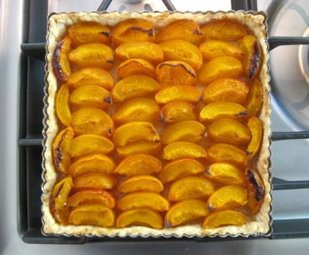 Apricot Tart 4